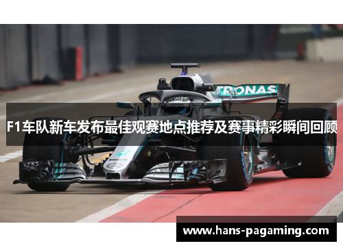 F1车队新车发布最佳观赛地点推荐及赛事精彩瞬间回顾