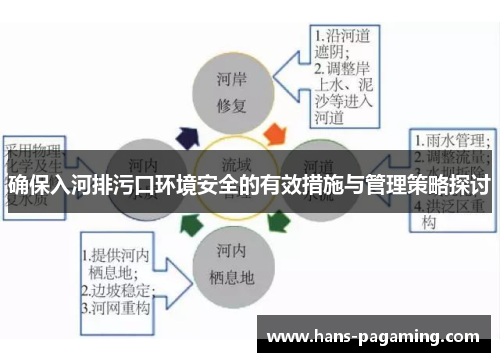 确保入河排污口环境安全的有效措施与管理策略探讨
