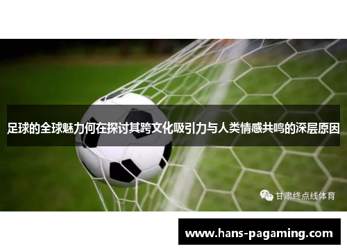 足球的全球魅力何在探讨其跨文化吸引力与人类情感共鸣的深层原因