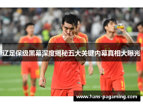 辽足保级黑幕深度揭秘五大关键内幕真相大曝光 辽足保级黑幕深度揭秘五大关键内幕真相大曝光