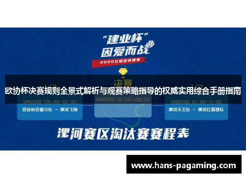 欧协杯决赛规则全景式解析与观赛策略指导的权威实用综合手册指南