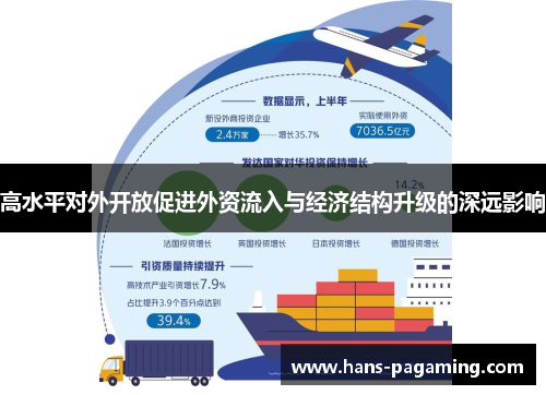 高水平对外开放促进外资流入与经济结构升级的深远影响