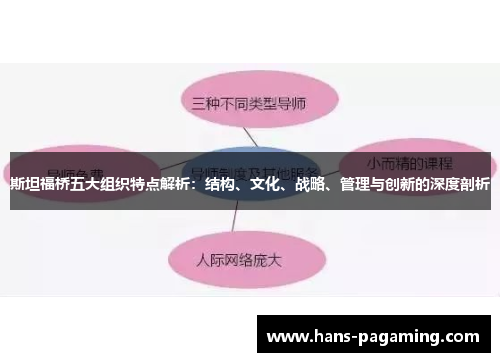 斯坦福桥五大组织特点解析:结构、文化、战略、管理与创新的深度剖析 斯坦福桥五大组织特点解析:结构、文化、战略、管理与创新的深度剖析