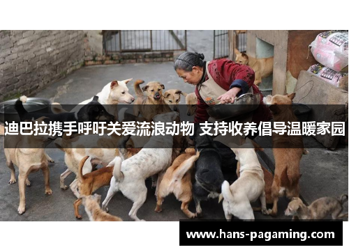 迪巴拉携手呼吁关爱流浪动物 支持收养倡导温暖家园